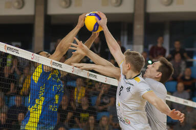 LUK Politechnika Lublin - Stal Nysa S.A.
