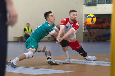 ZAKSA Strzelce Opolskie - AZS AGH Kraków