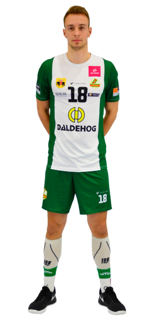 Dawid Sokołowski