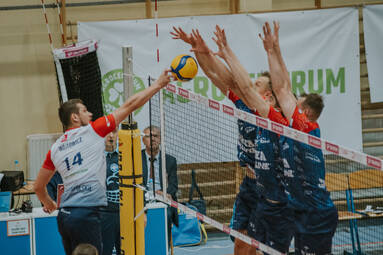 Galeria z meczu ZAKSA Strzelce Opolskie - BKS Visła Proline Bydgoszcz