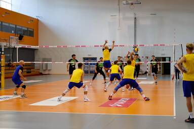 Sparingi Olimpii Sulęcin z Netzhoppers KW 