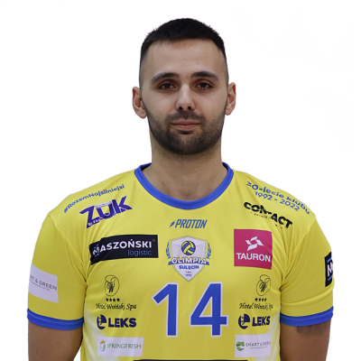 Igor Subotić