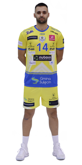 Igor Subotić