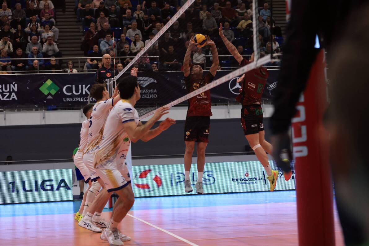 Toruńskie CUK Anioły na szczycie tabeli [ZDJĘCIA]